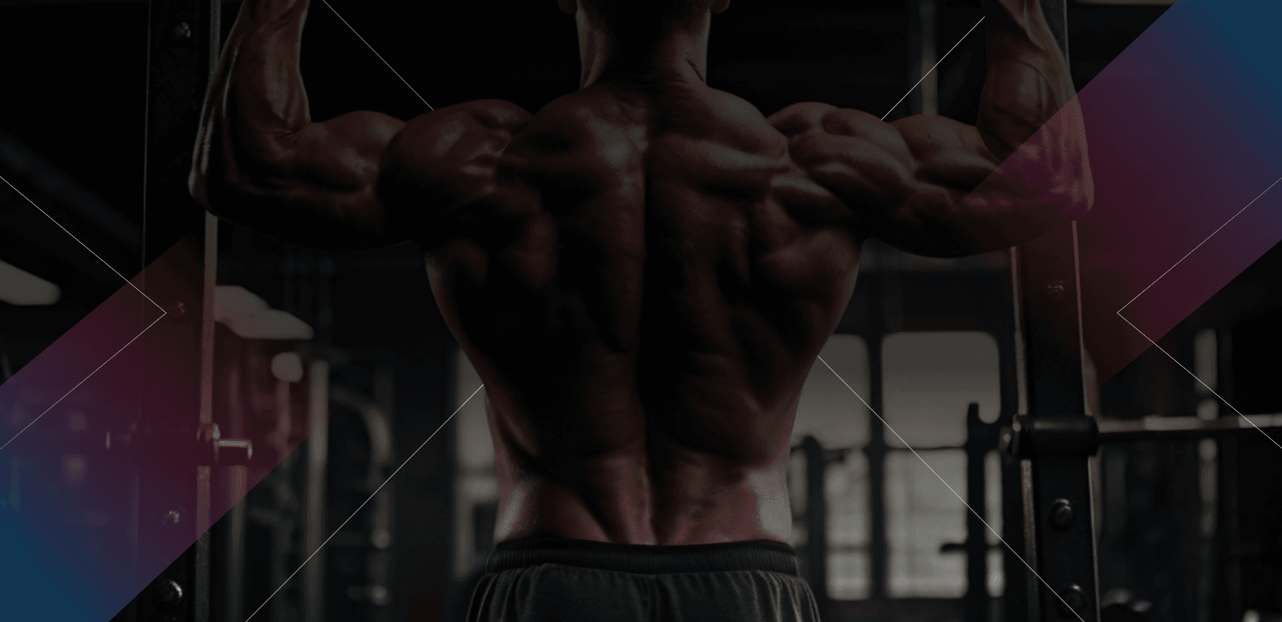 Bodybuilder showing muscular back in gym
